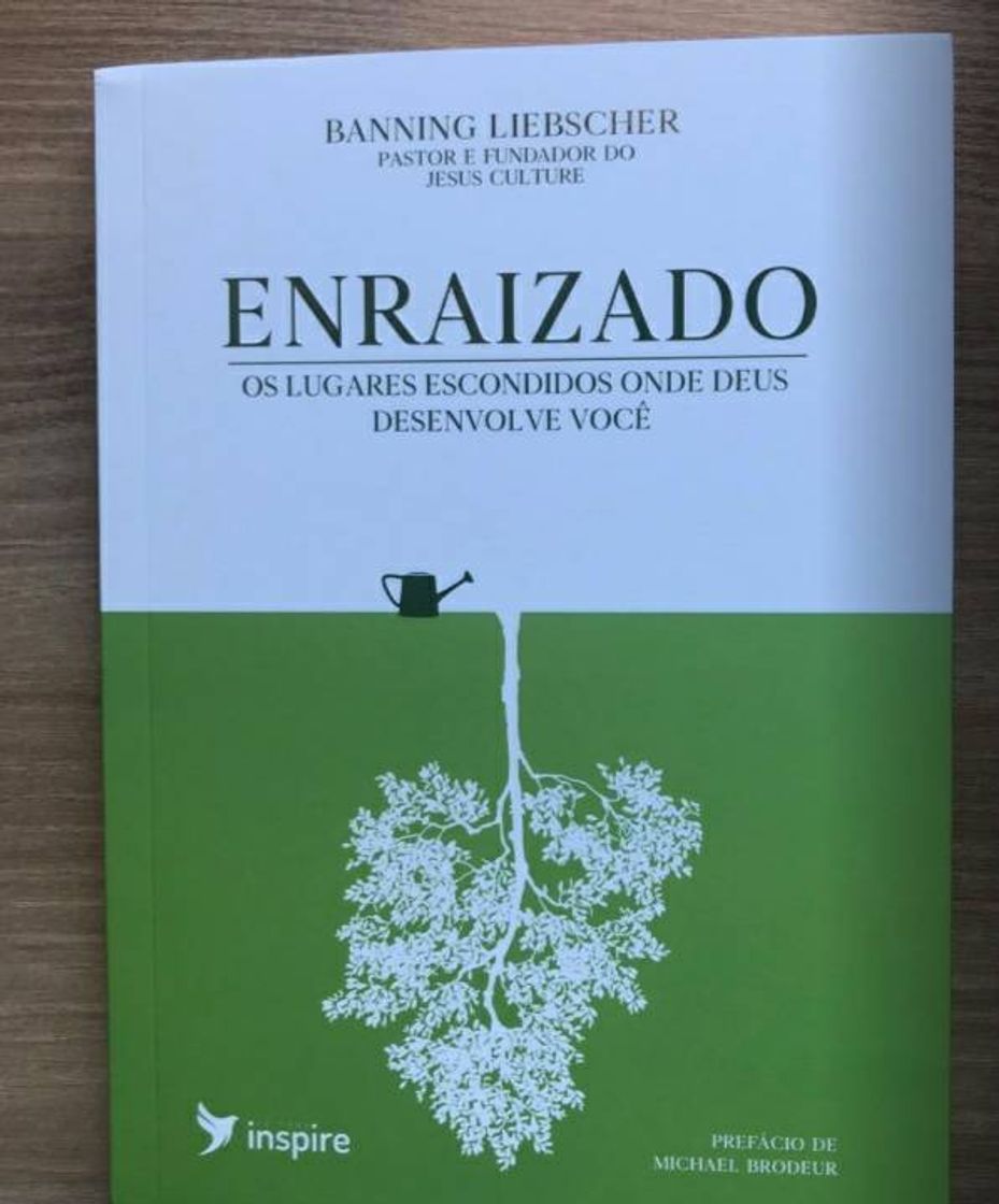 Fashion Livro enraizado 