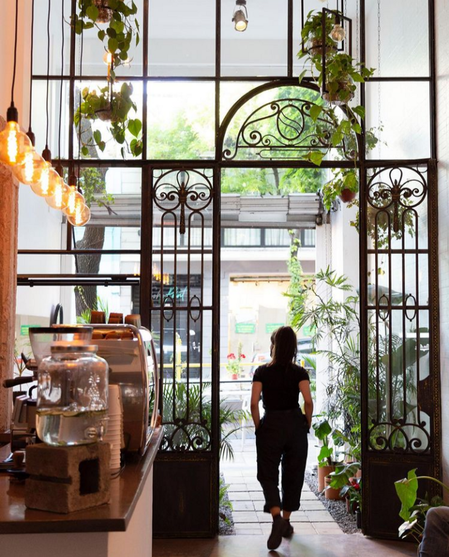Restaurants FAUNA Café y Flora