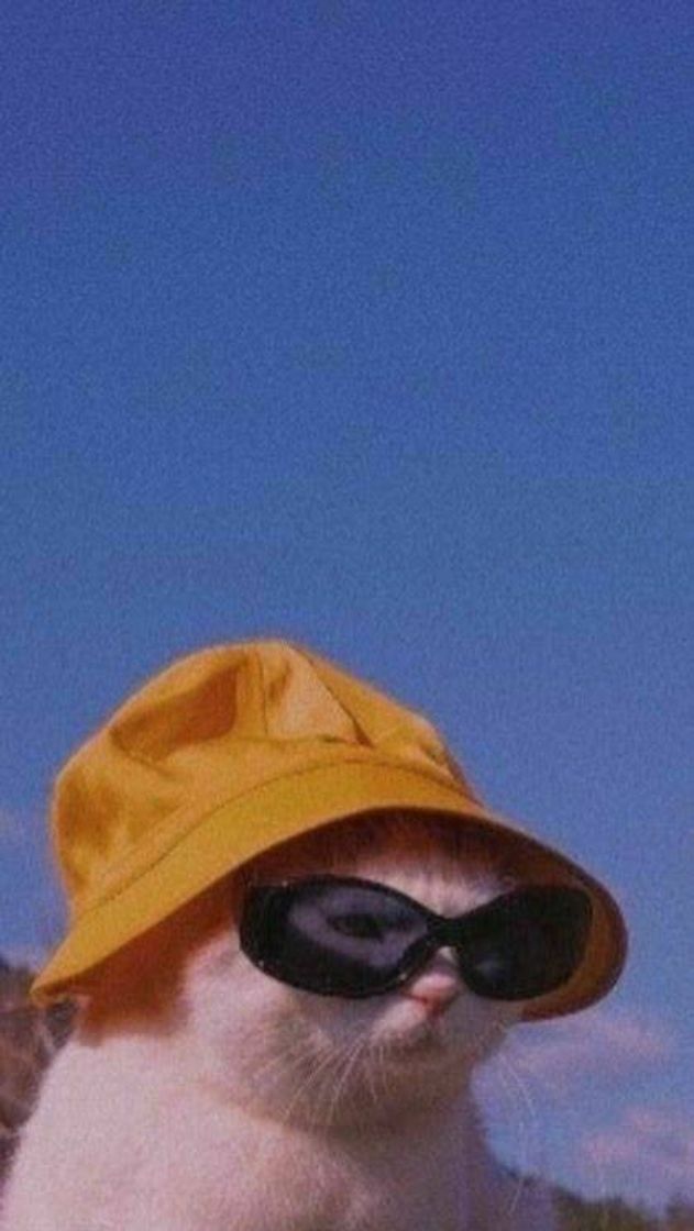 Wallpaper 