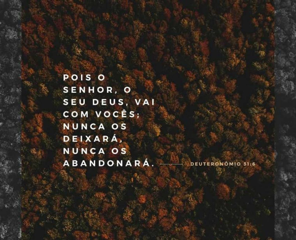 Social Versículo Bíblico 🙏🏼