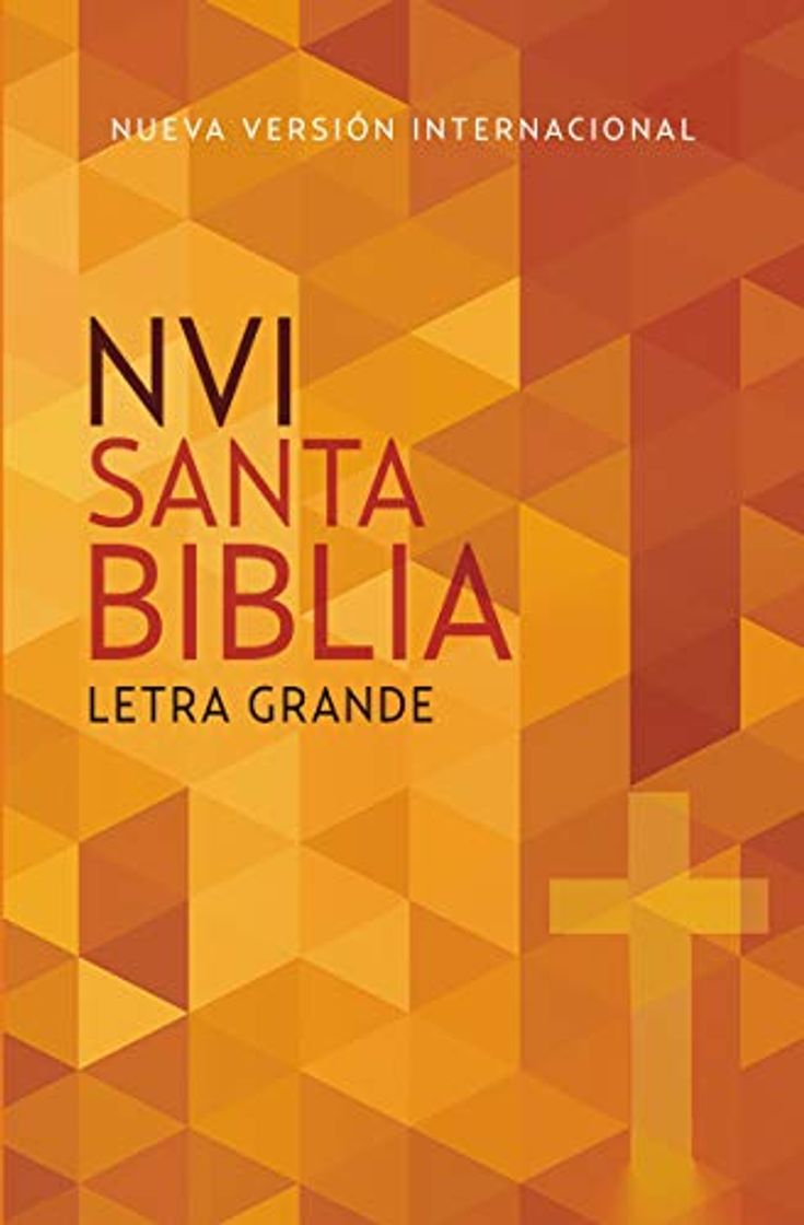 Libro Santa Biblia NVI