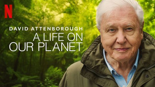 David Attenborough: Uma Vida no Nosso Planeta 