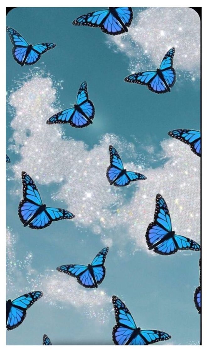 borboletas 🦋 