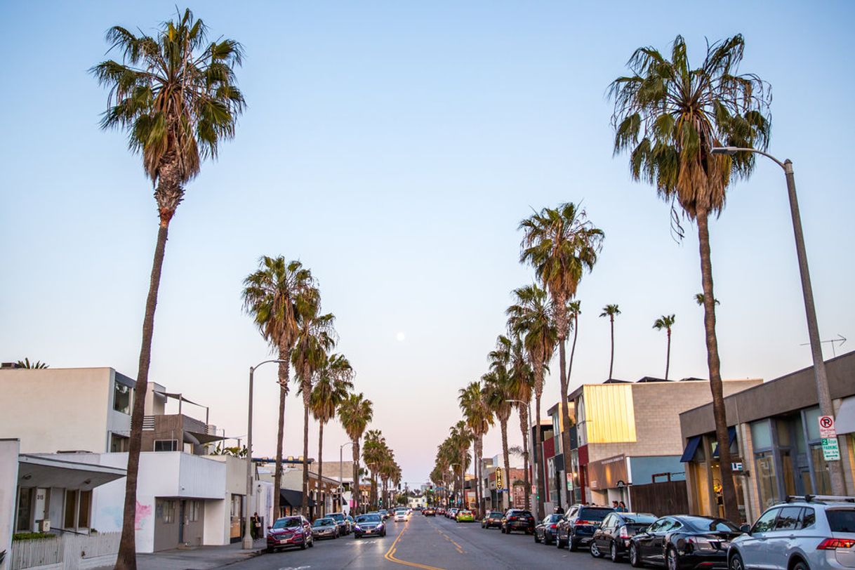 Lugar Abbot Kinney Boulevard