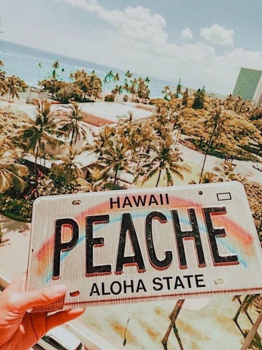 Place Hawaii