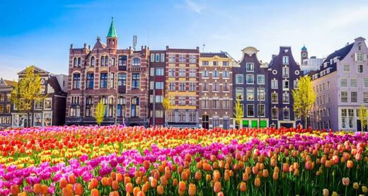 Amsterdã (Holanda)