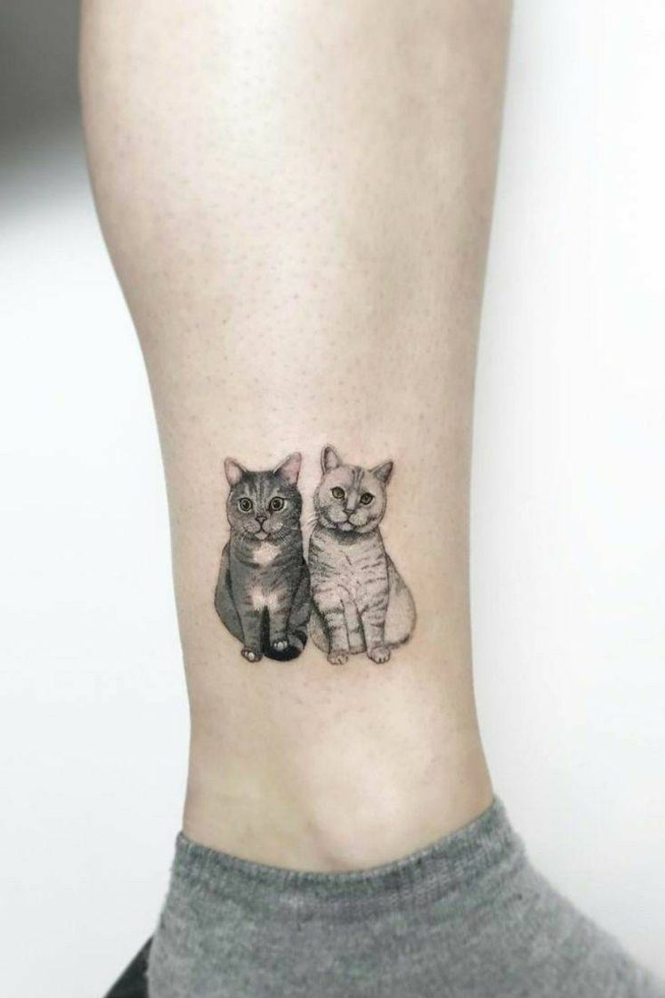 Moda Tattoo de gatíneos