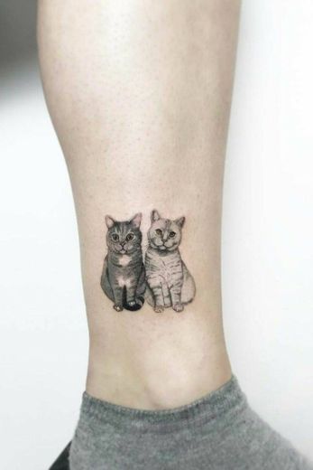 Tattoo de gatíneos