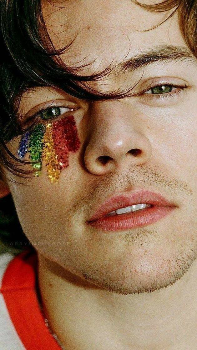 Fashion Harry's Rainbow