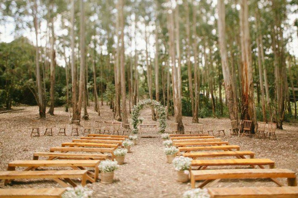 Moda Casamento na Floresta