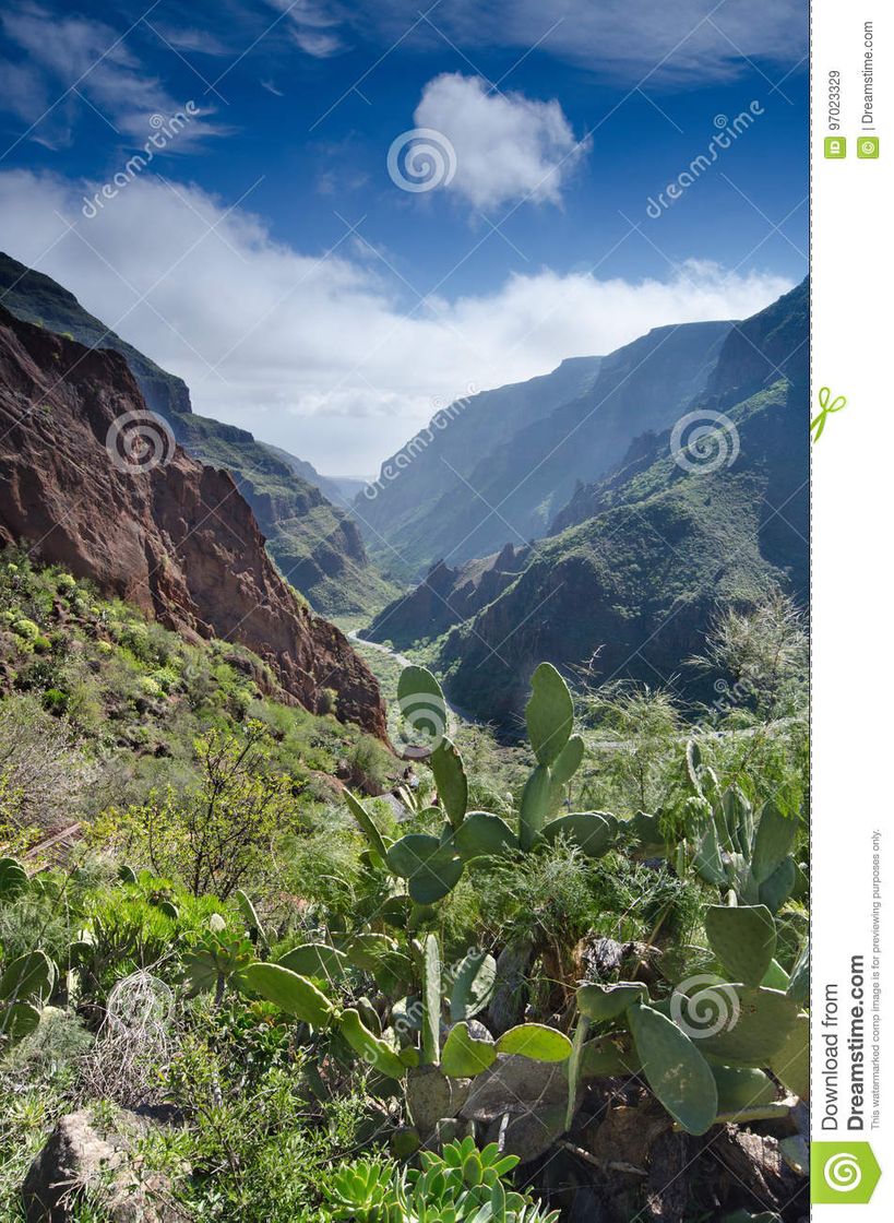 Restaurantes Casa Cueva Canaria