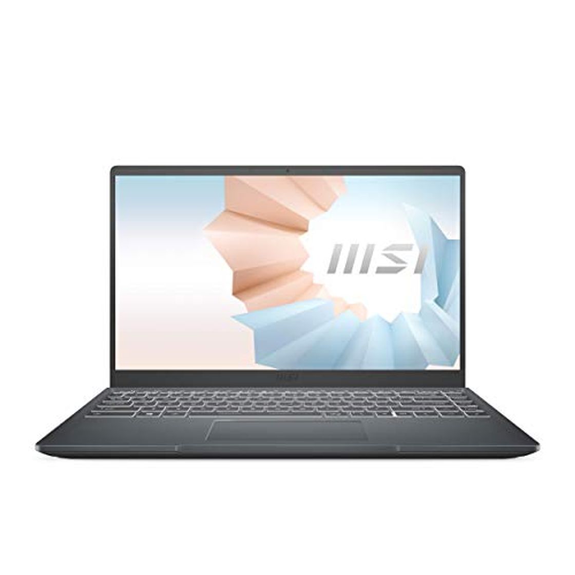 Producto MSI Modern 14 B10RBSW-420XES - Ordenador portátil de 14" FHD