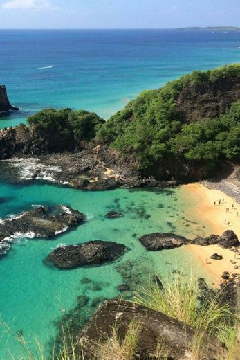 Fernando de Noronha😍