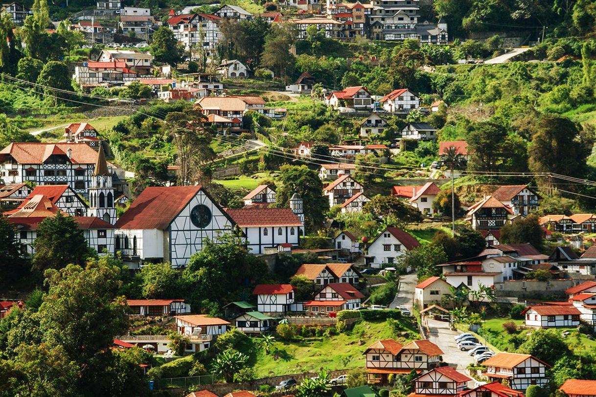 Place Colonia Tovar 🏞️