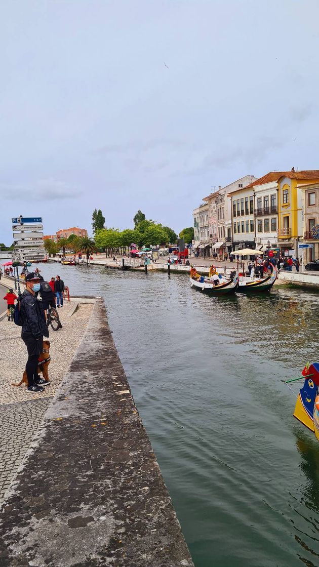 Moda Aveiro 🧡