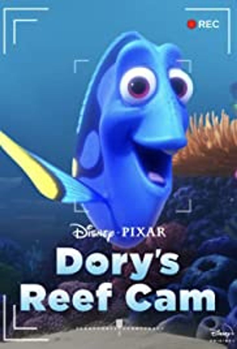 Película La cámara del arrecife de Dory