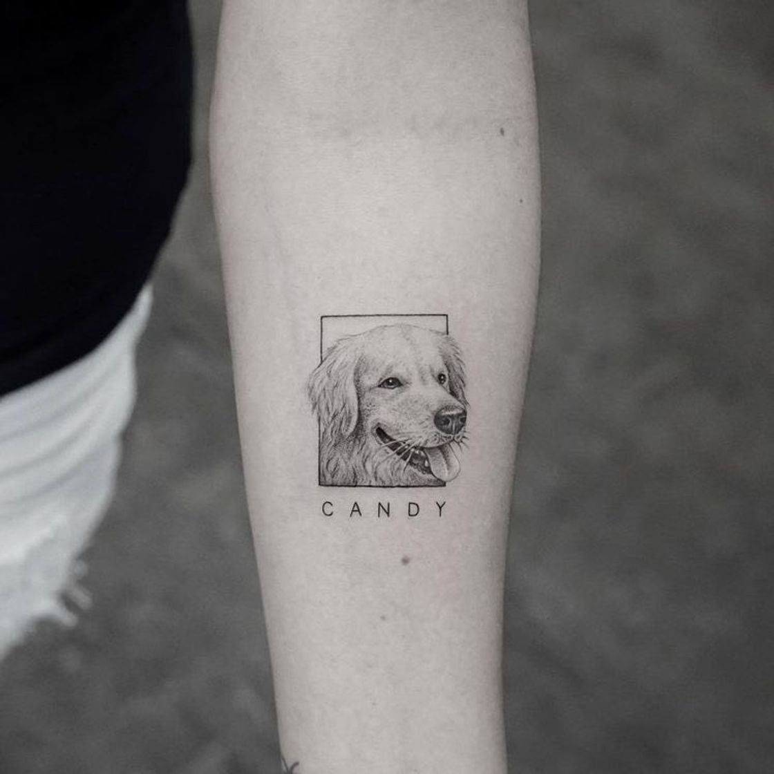 Fashion #Tattoo #Tatuagem #Realismo #Pet #Cachorro