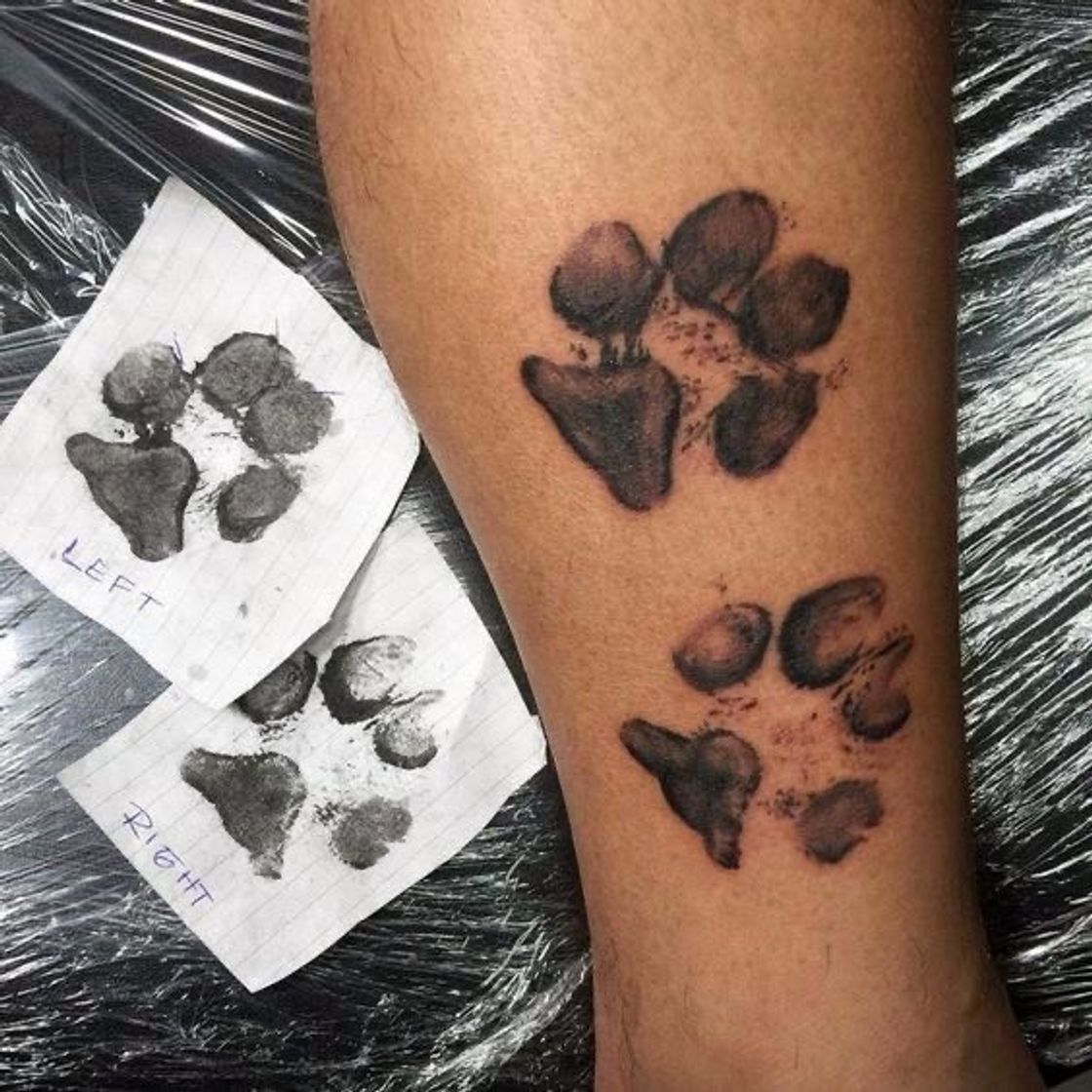 Social Tatuagem do Pet / Animal de estimação 