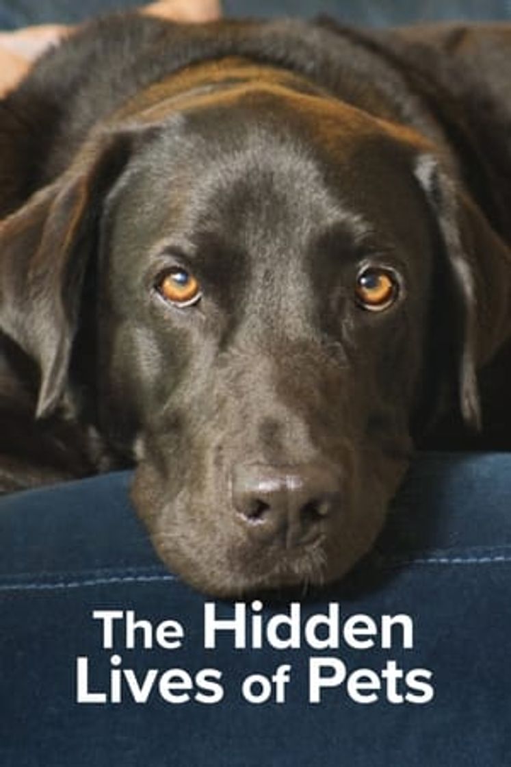 Serie The Hidden Lives of Pets