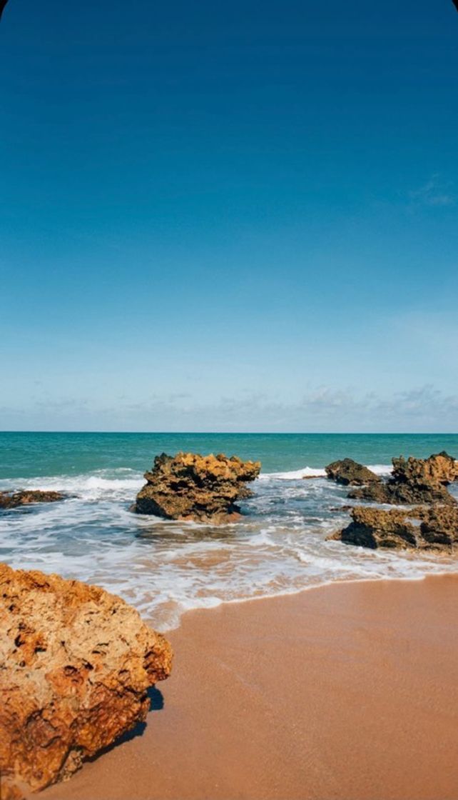 Social Beach vibes 