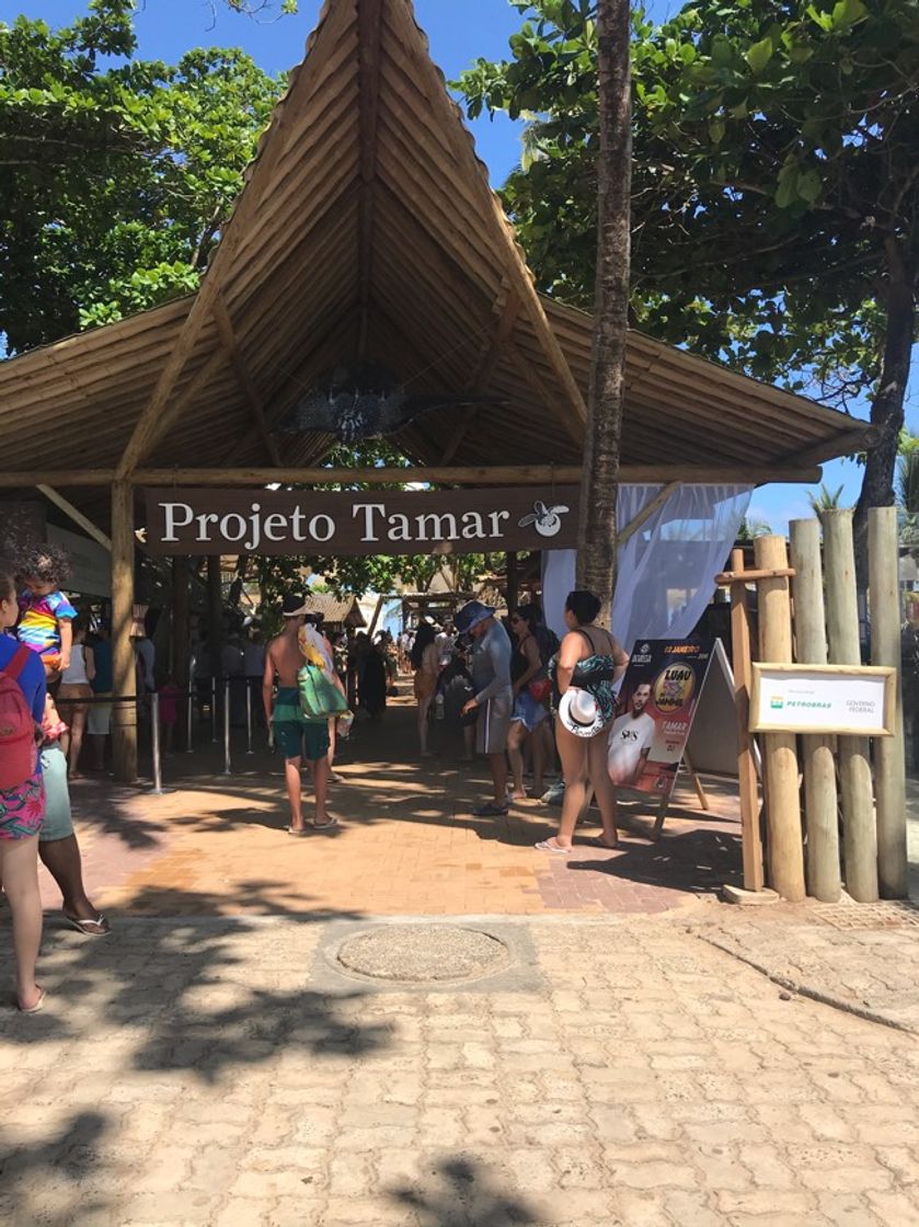 Place Projeto Tamar