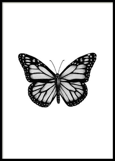 Tattoo borboleta 🦋 