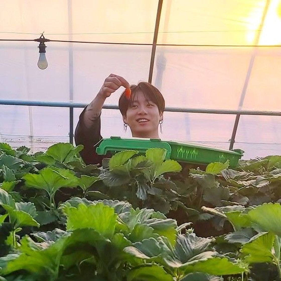Social Jungkook; boyfriend material 