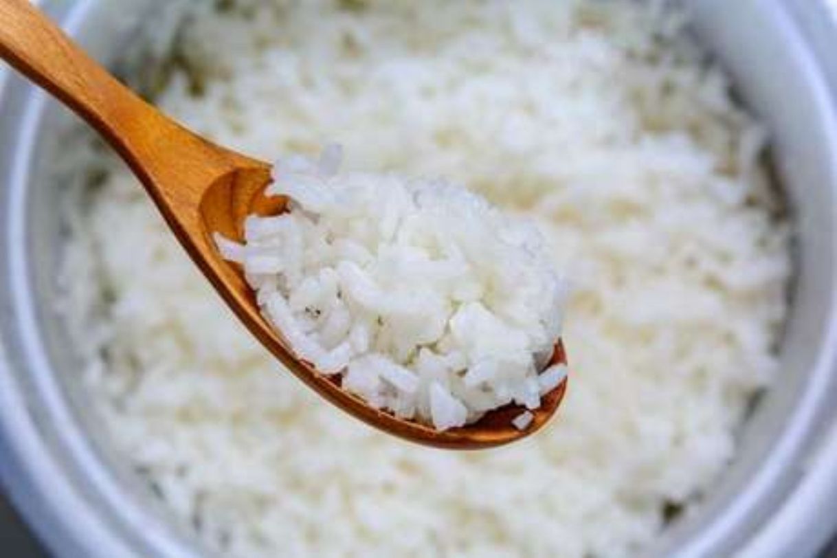 Fashion ARROZ: A BASE DA PREPARAÇÃO – Sobrevivencialismo