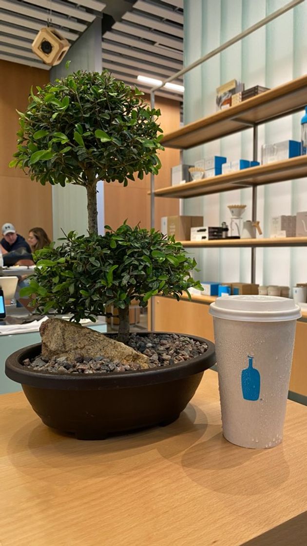 Restaurants Blue Bottle Coffee