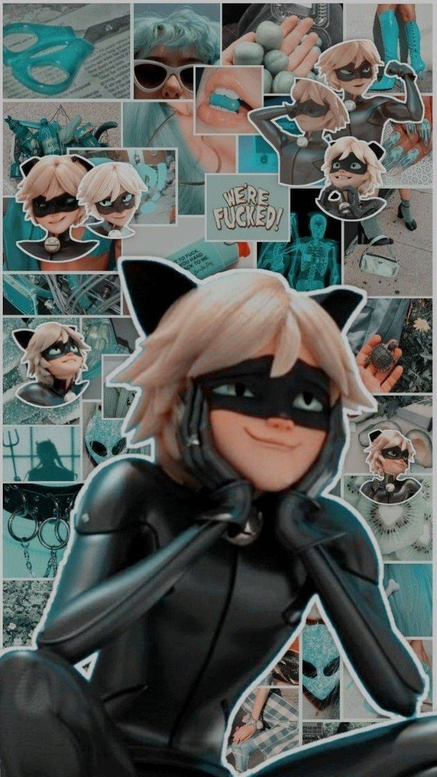 Moda Cat noir