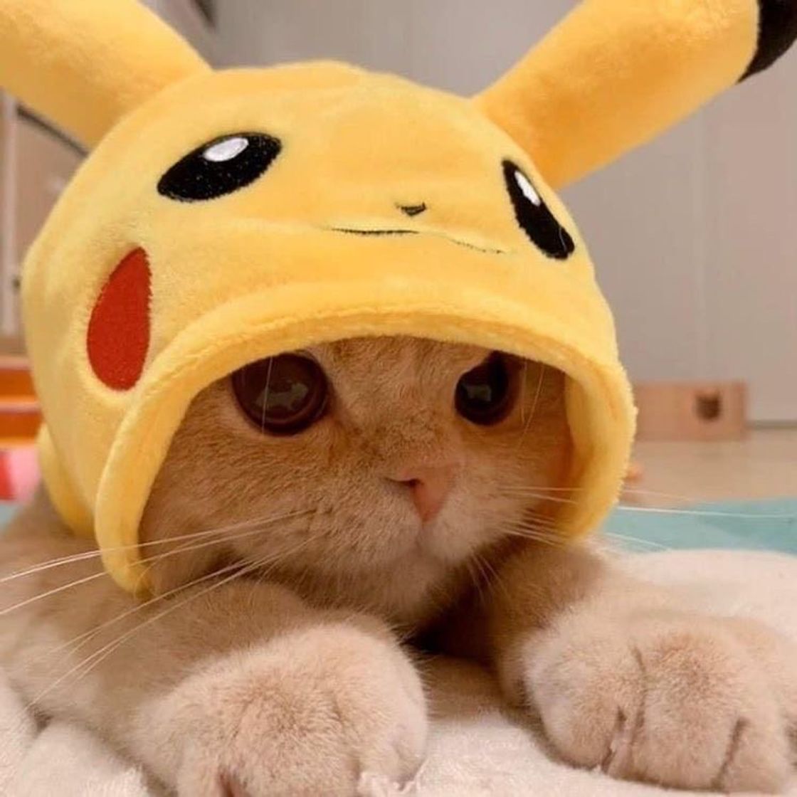 Fashion Pikachu🐱💛