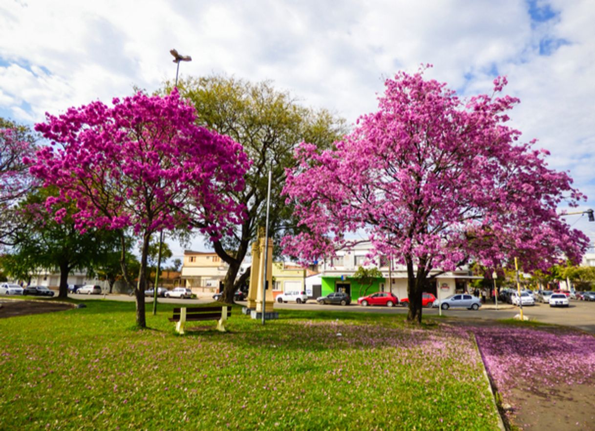 Place Uruguaiana