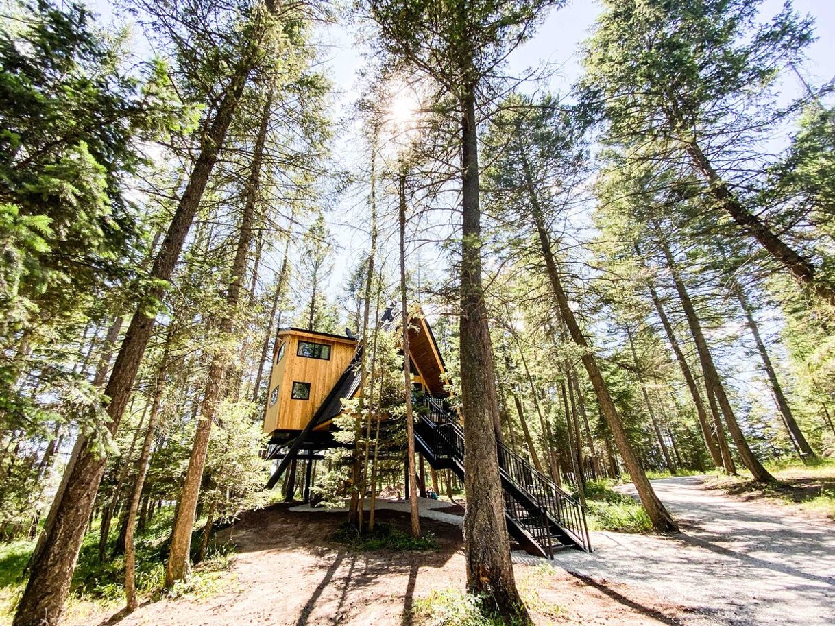 Lugares Raven's Nest Treehouse at MT Treehouse Retreat

