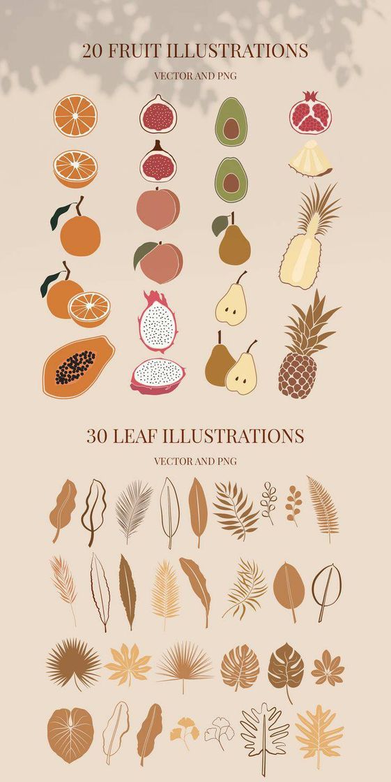 Fashion Ilustração canva