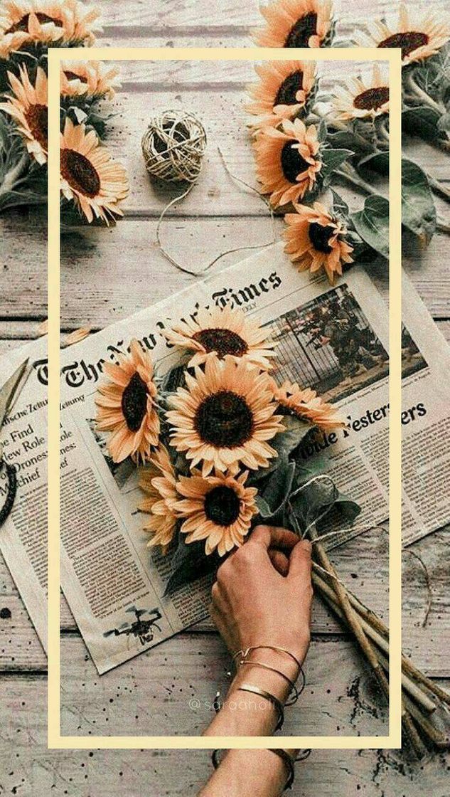 Fashion Wallpaper 🌻 Girassol 