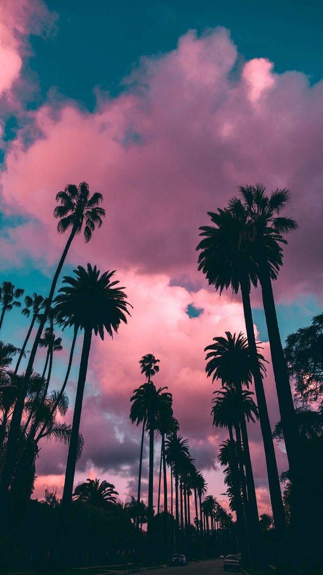 Social Wallpaper 