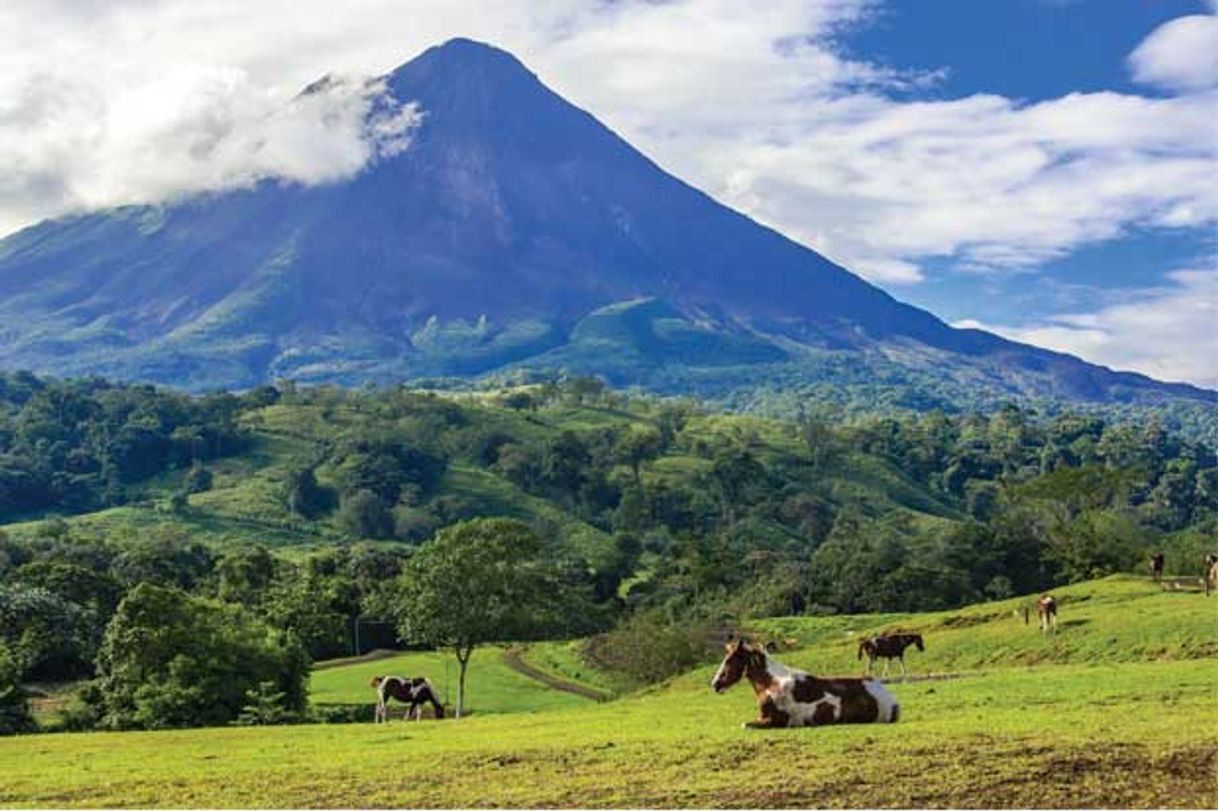 Lugar Parque Nacional Volcán Arenal