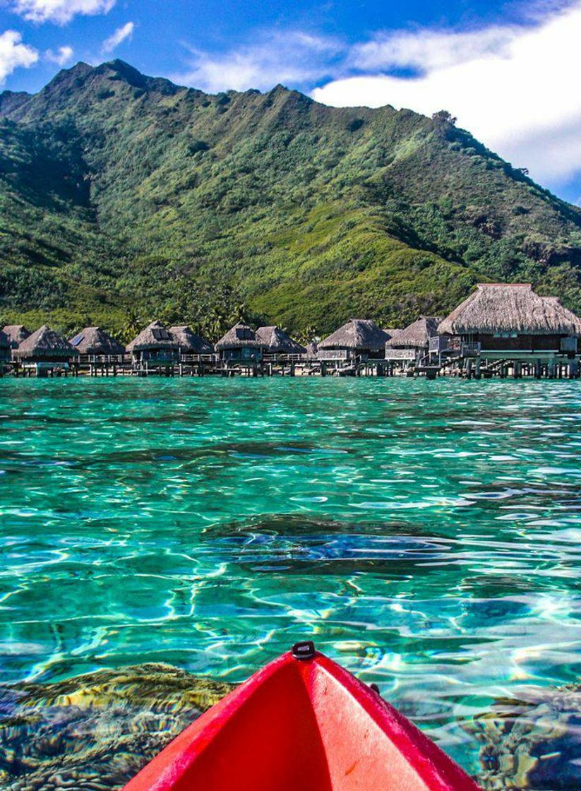 Social Blue Lagoon Paradise - Moorea, French Polynesia.
