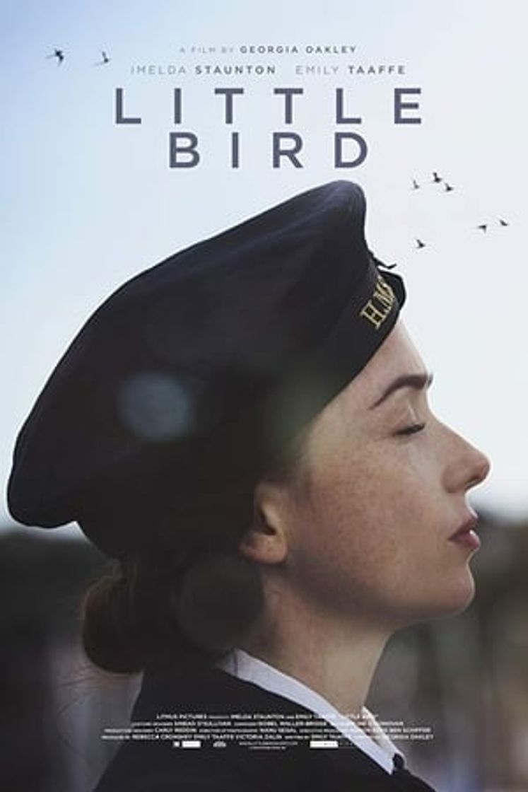 Película Little Bird