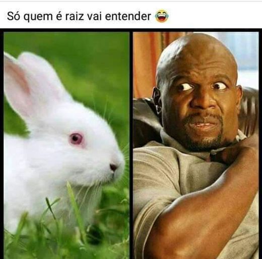 Só quem é raiz vai entender 🤣🤣