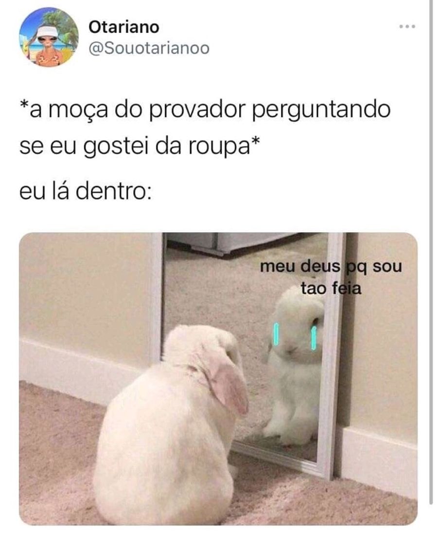 Social MEME 🤡