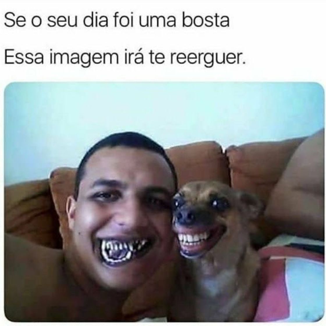 Social MEME 🤡