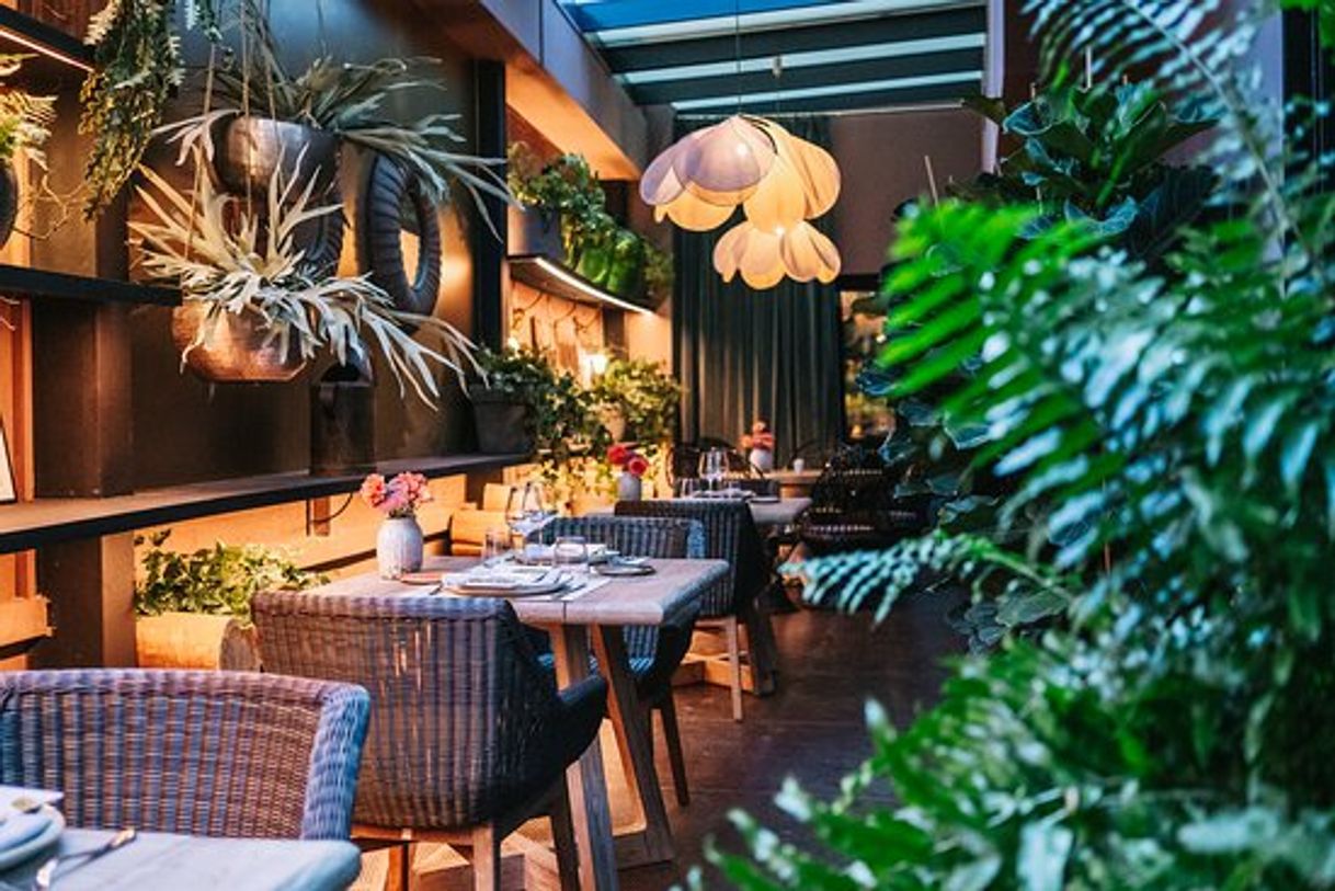 Restaurants La Palmera del Indiano