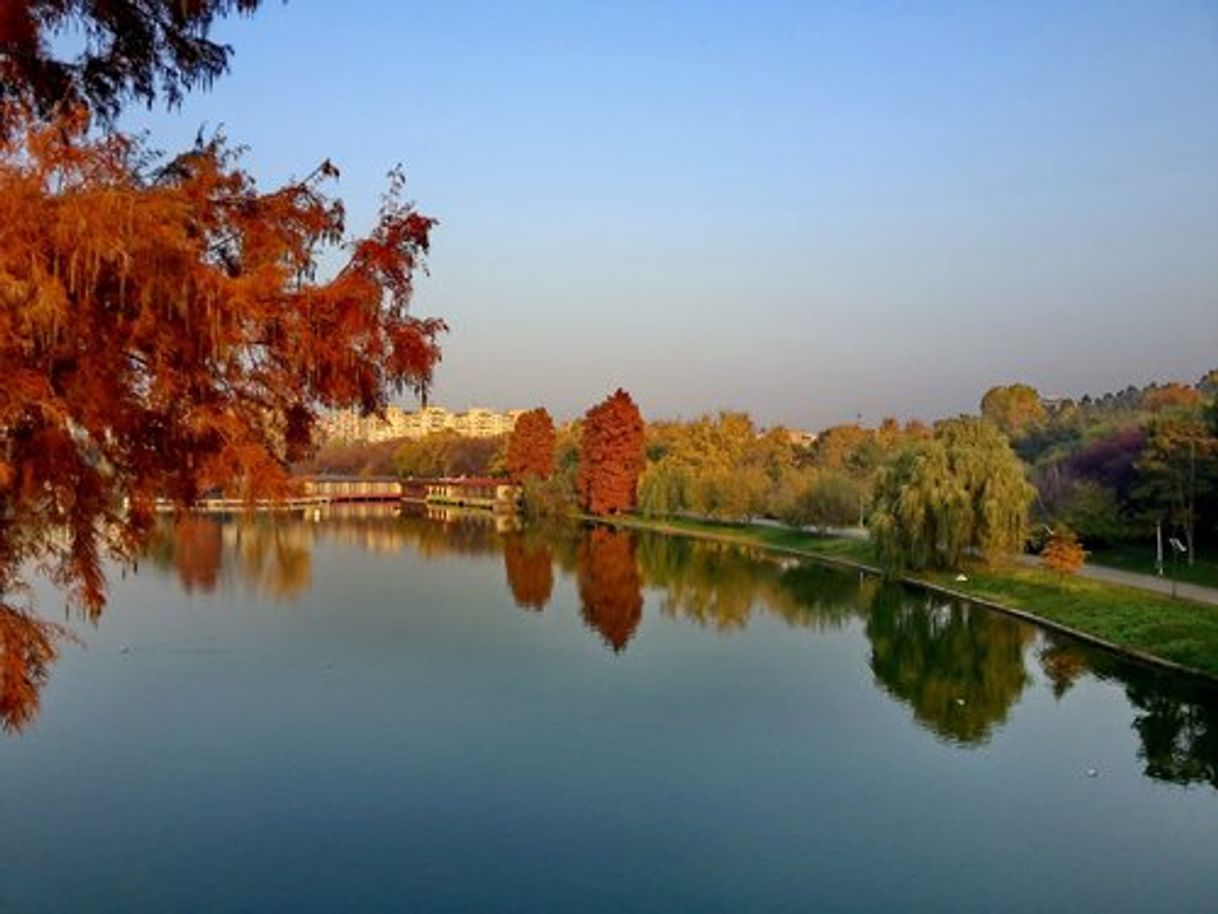 Place Parcul Tineretului