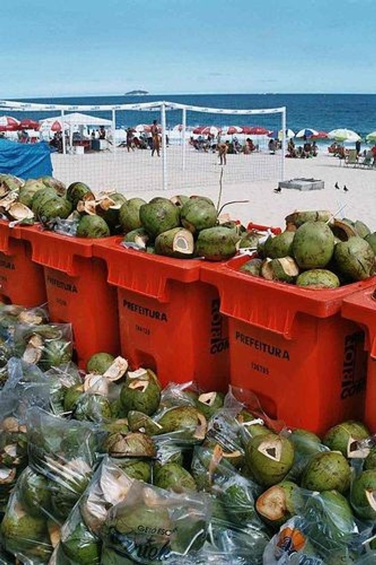 Social coco trash 🥥