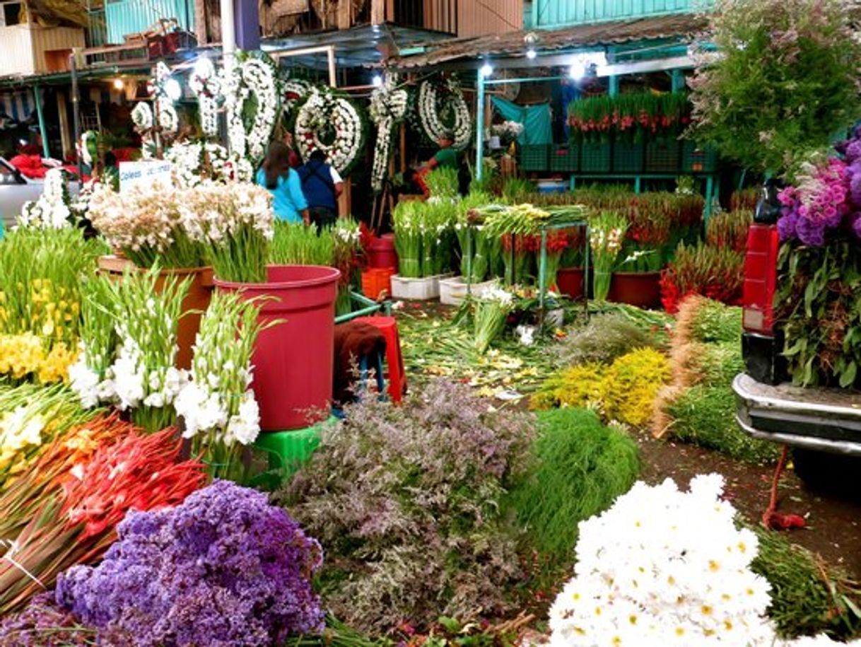 Restaurants Mercado de Jamaica