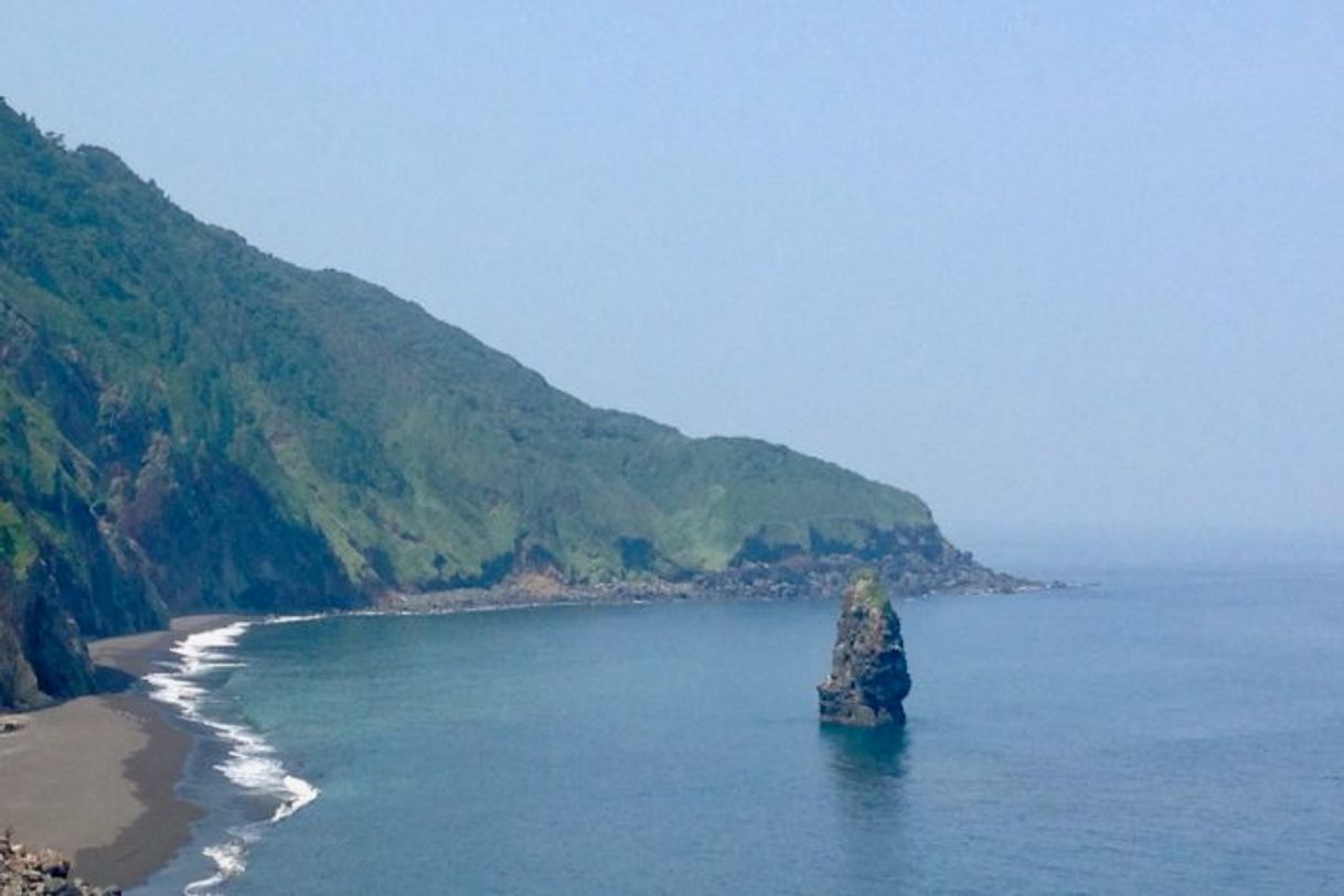 Place Izu Ōshima