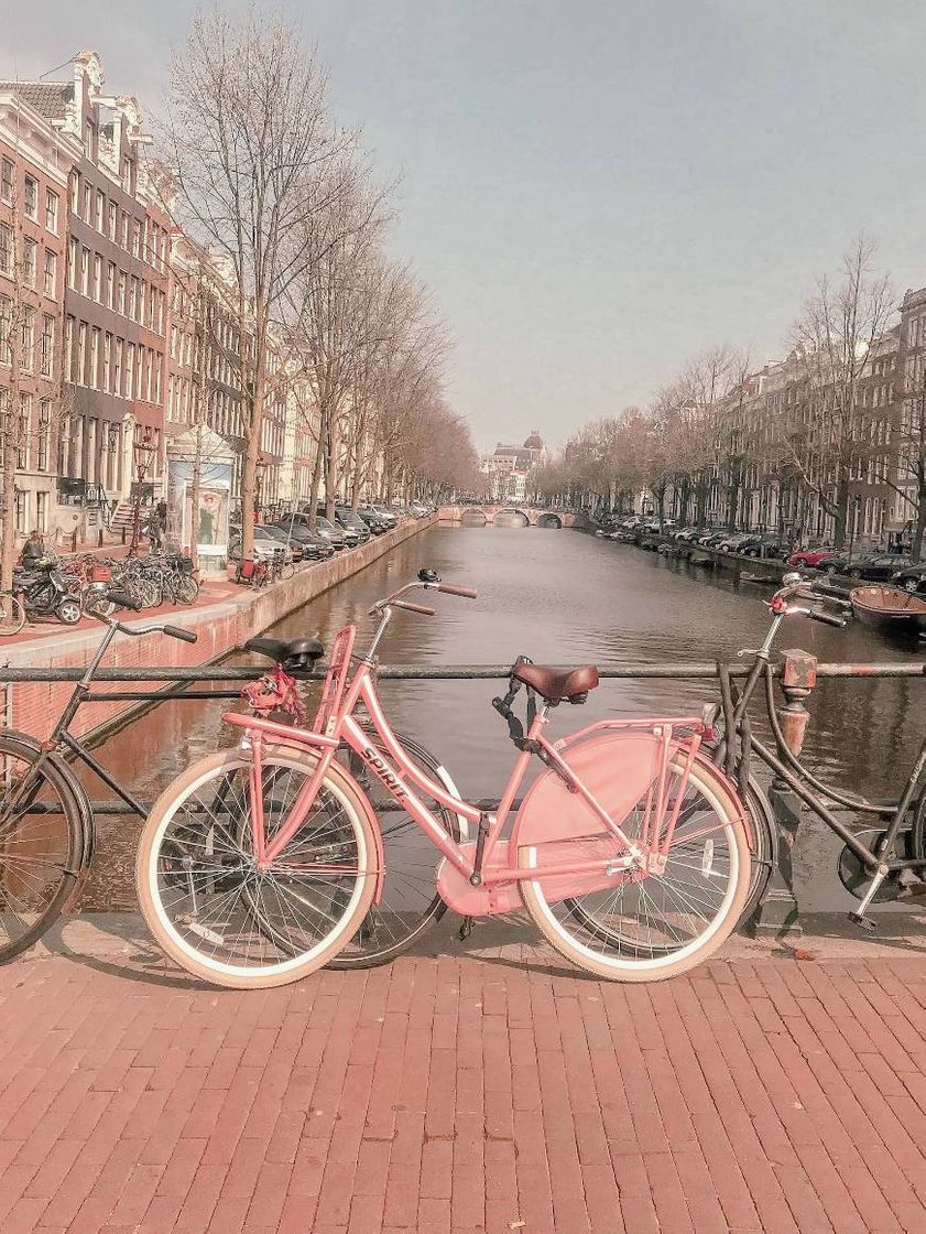 Moda Amsterdam, o sonho de um lugares para visitar.