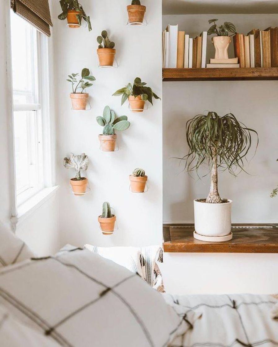 Moda Sala de estar com espaço para plantas.