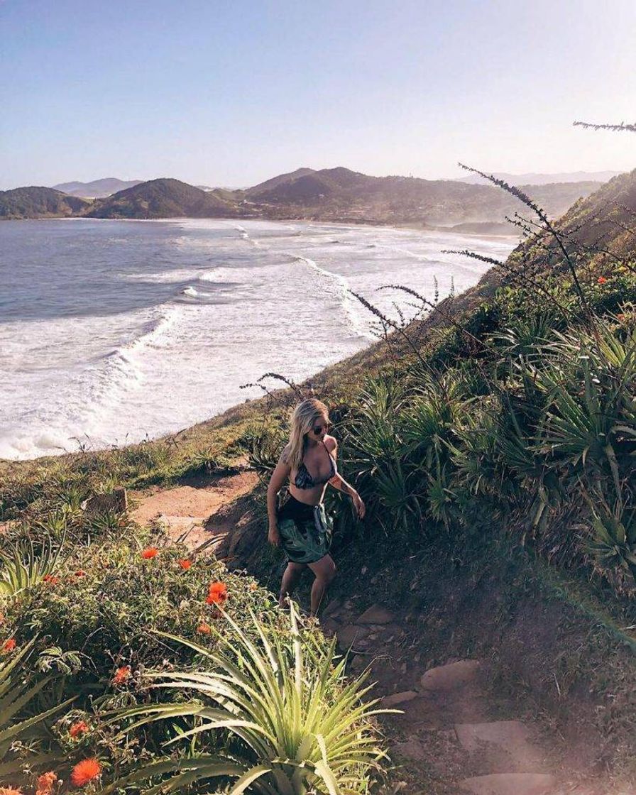 Social 10 lugares para conhecer no Brasil/ Próxima viagem/ top 5.